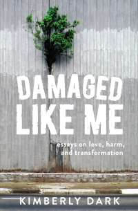 Imagen de portada: Damaged Like Me 9781849354141