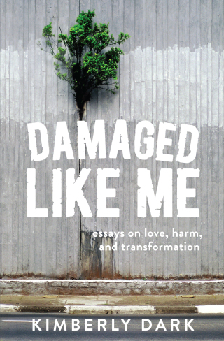 صورة الغلاف: Damaged Like Me 9781849354141
