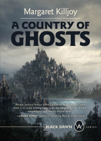 Imagen de portada: A Country of Ghosts 9781849354486