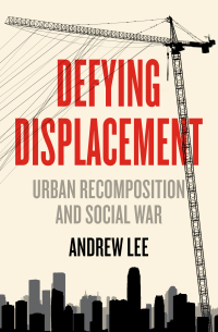 Cover image: Defying Displacement 9781849355247