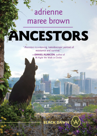 Cover image: Ancestors 9781849355520
