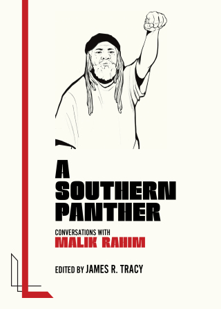Cover image: A Southern Panther 9781849356107