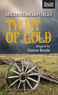 Omslagafbeelding: Twist of Gold 1st edition 9781849432061