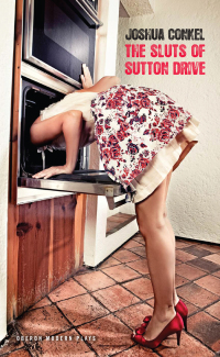 Cover image: The Sluts of Sutton Drive 1st edition 9781849434980
