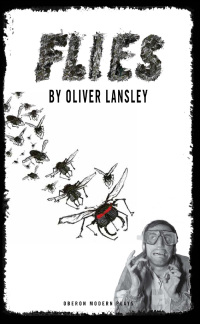 Cover image: Flies 1st edition 9781849432146