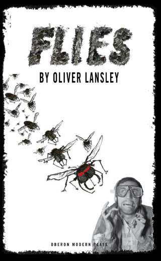 Imagen de portada: Flies 1st edition 9781849432146