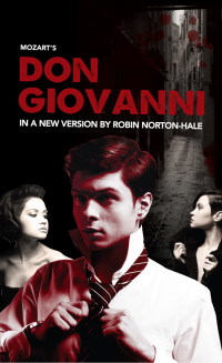 Cover image: Don Giovanni 1st edition 9781849432405