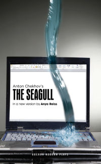 Titelbild: The Seagull 1st edition 9781849434256