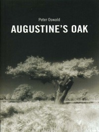 Cover image: Augustine's Oak 1st edition 9781840021288