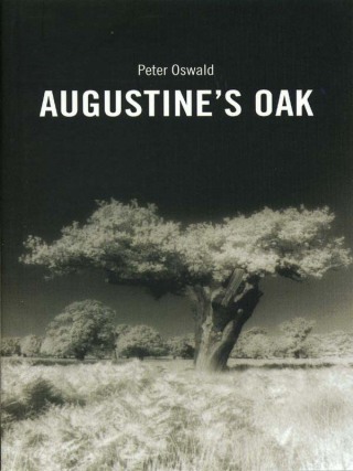 Omslagafbeelding: Augustine's Oak 1st edition 9781840021288