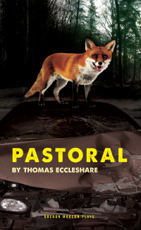 Cover image: Pastoral 1st edition 9781849434447