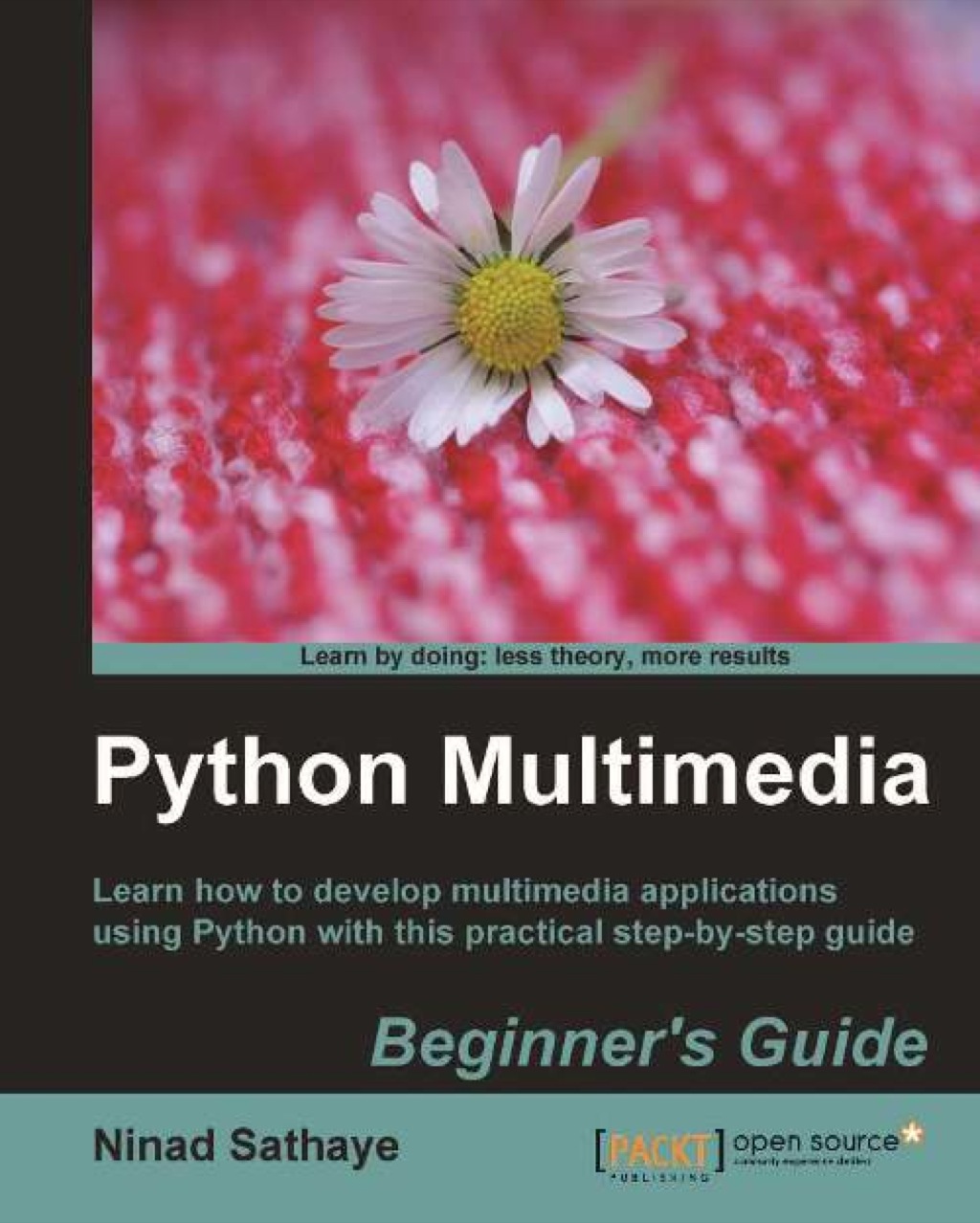 Python Multimedia - 1st Edition (eBook)