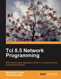 Imagen de portada: Tcl 8.5 Network Programming 1st edition 9781849510967