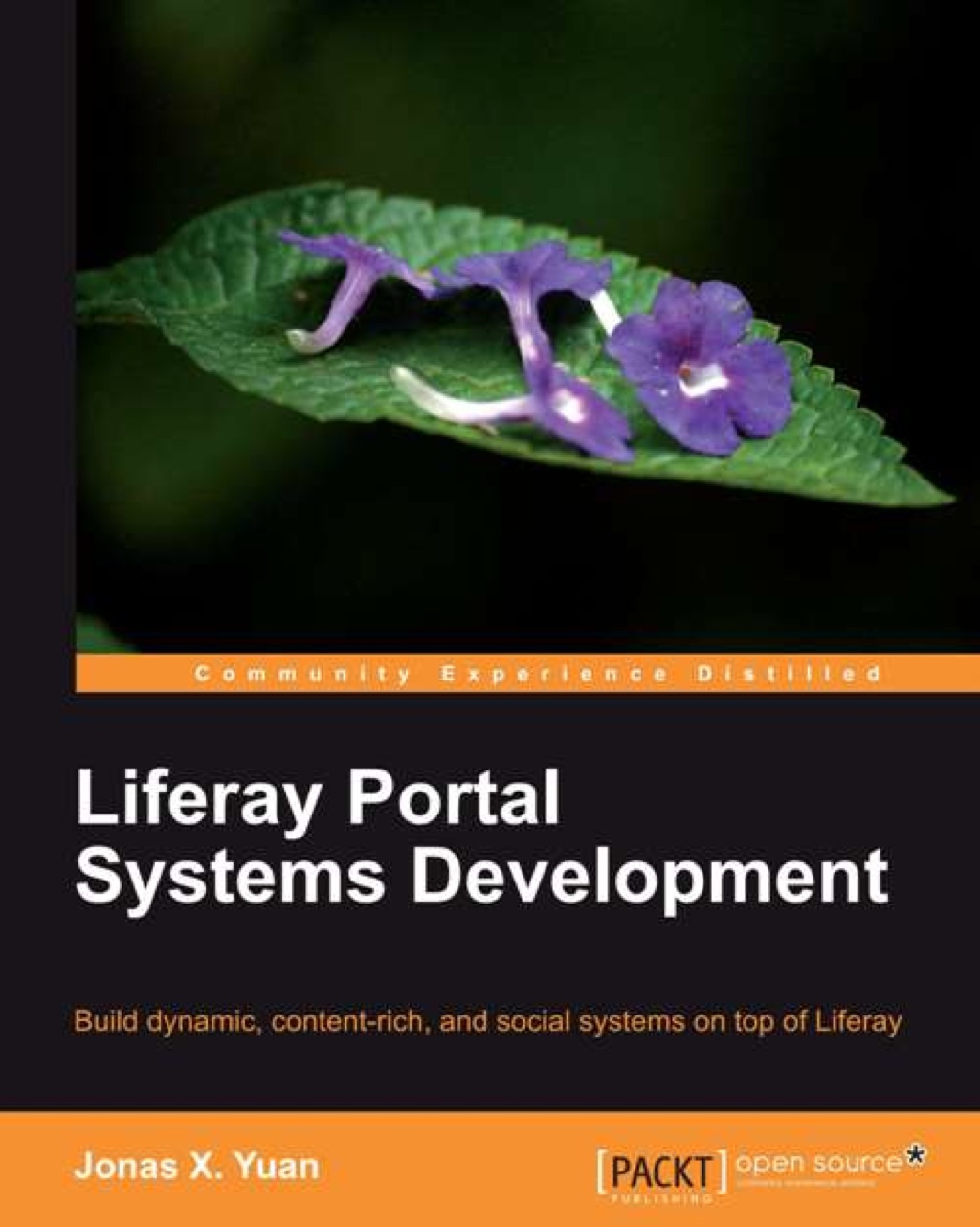 Liferay Portal Systems Development 1st Edition