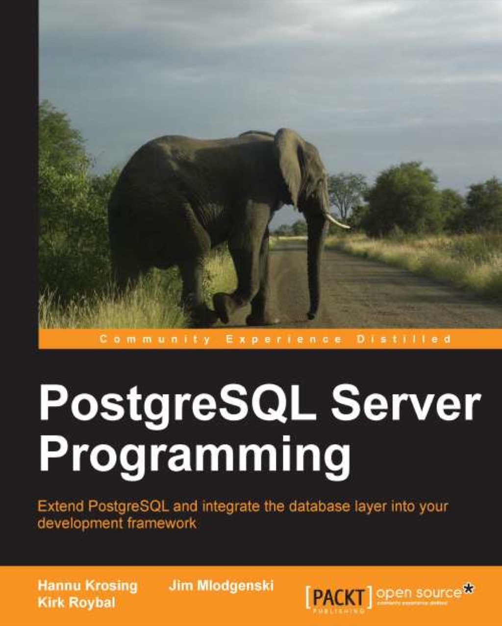 PostgreSQL Server Programming - 1st Edition (eBook)