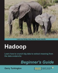 Cover image: Hadoop Beginner's Guide 1st edition 9781849517300