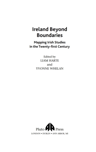 表紙画像: Ireland Beyond Boundaries 1st edition 9780745321851