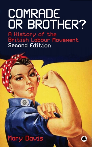 Cover image: Comrade or Brother? 2nd edition 9780745325767