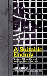 Cover image: A Suitable Enemy 1st edition 9780745327921