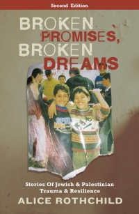 صورة الغلاف: Broken Promises, Broken Dreams 2nd edition 9780745329703