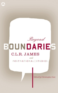 Titelbild: Beyond Boundaries 1st edition 9780745323435
