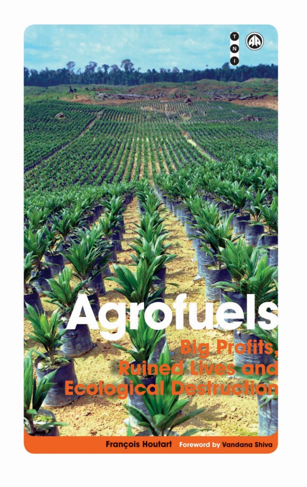 Agrofuels Big Profits, Ruined Lives and Ecological Destruction 1st Edition