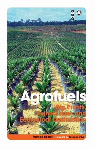 Cover image: Agrofuels 1st edition 9780745330136