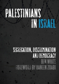 Imagen de portada: Palestinians in Israel 1st edition 9780745332284