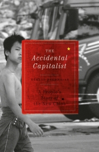 Imagen de portada: The Accidental Capitalist 1st edition 9780745332307