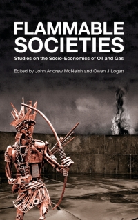 Cover image: Flammable Societies 1st edition 9780745331188