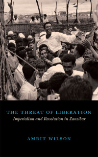 Cover image: The Threat of Liberation 1st edition 9780745334073