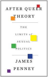 Cover image: After Queer Theory 1st edition 9780745333793