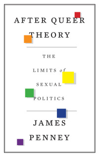 Titelbild: After Queer Theory 1st edition 9780745333793