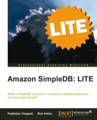 Imagen de portada: Amazon SimpleDB: LITE 1st edition 9781849683685