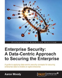 表紙画像: Enterprise Security: A Data-Centric Approach to Securing the Enterprise 1st edition 9781849685962