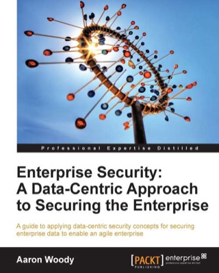 Imagen de portada: Enterprise Security: A Data-Centric Approach to Securing the Enterprise 1st edition 9781849685962