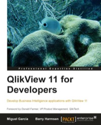 Titelbild: QlikView 11 for Developers 1st edition 9781849686068