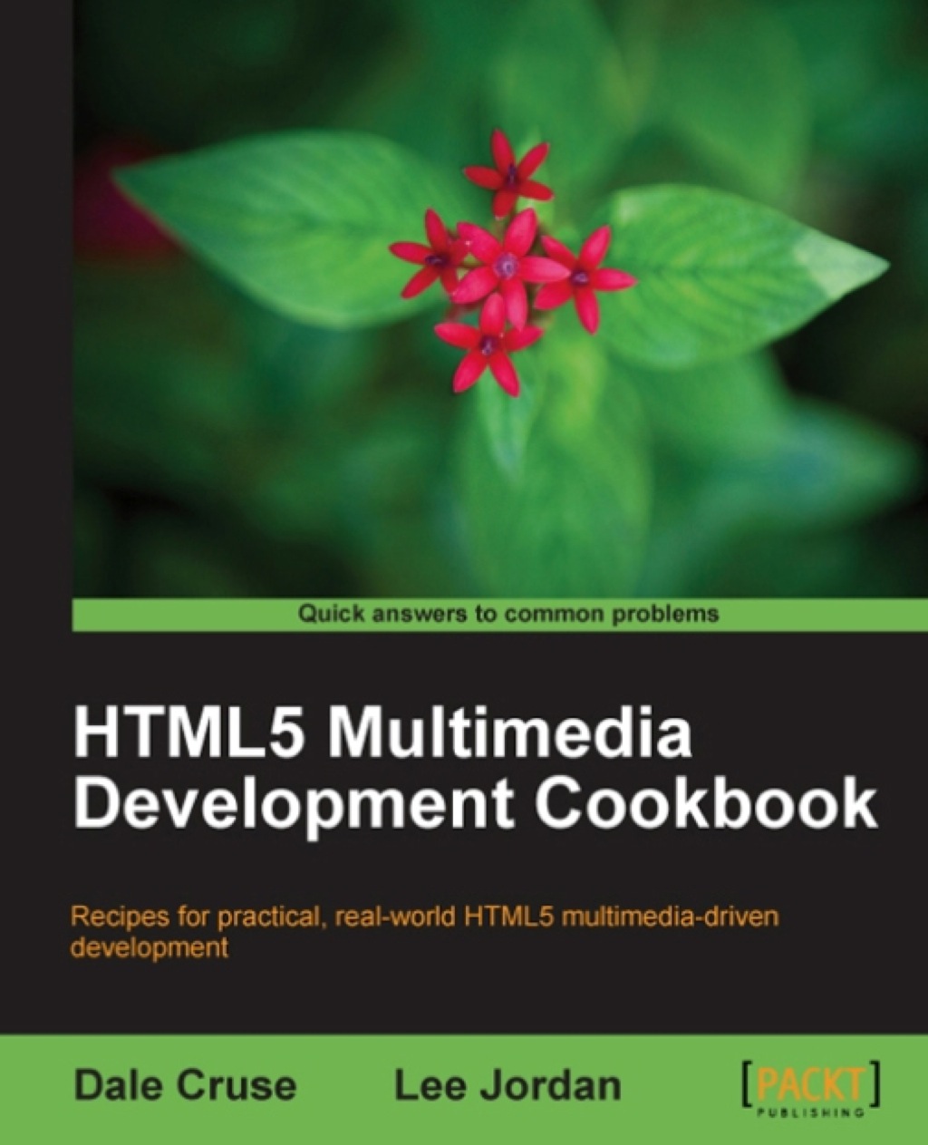 HTML5 Multimedia Development Cookbook 1st Edition
