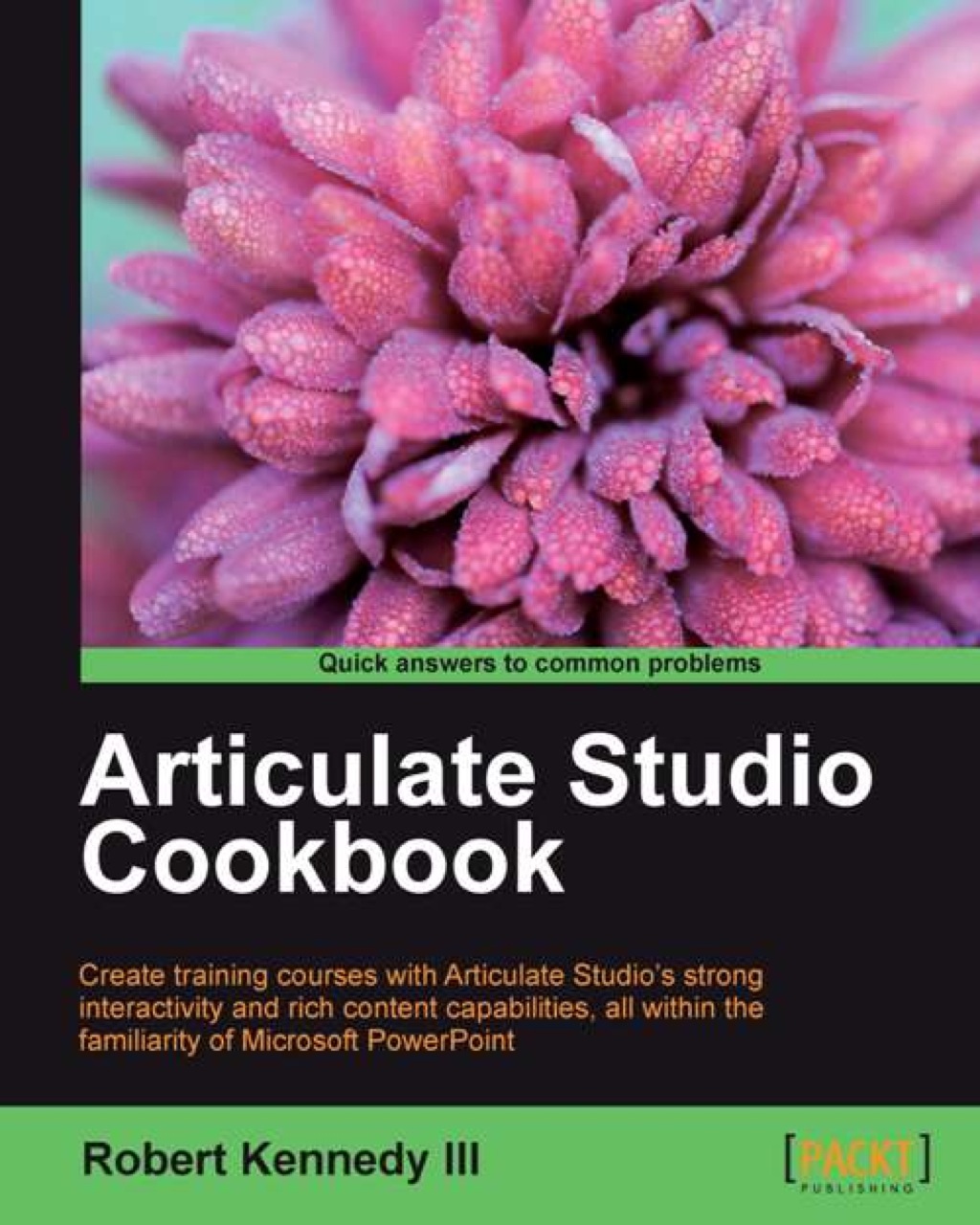 Articulate Studio Cookbook 1st Edition