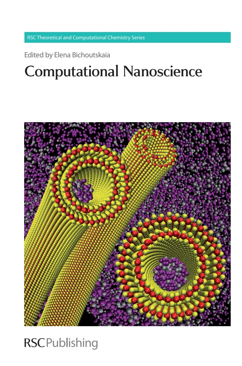 Computational Nanoscience 1st Edition