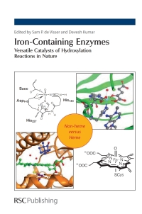 Cover image: Iron-Containing Enzymes 1st edition 9781849731812