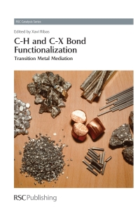 Imagen de portada: C-H and C-X Bond Functionalization 1st edition 9781849735704