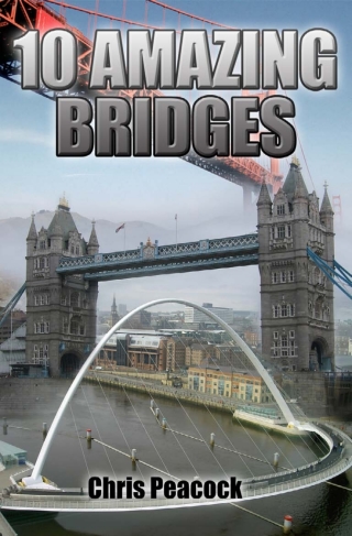 Cover image: 10 Amazing Bridges 1st edition 9781849893862