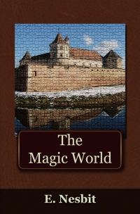 Omslagafbeelding: The Magic World 1st edition 9781849894708