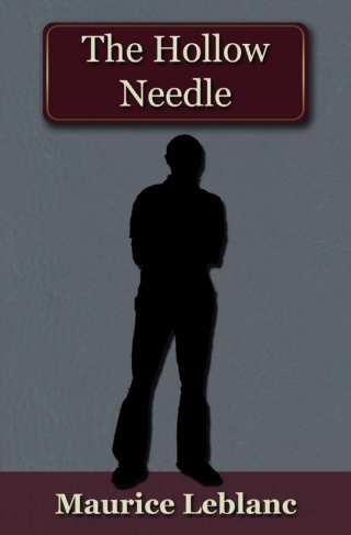 Omslagafbeelding: The Hollow Needle 1st edition 9781849895309