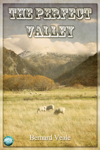 Cover image: The Perfect Valley 1st edition 9781849897310