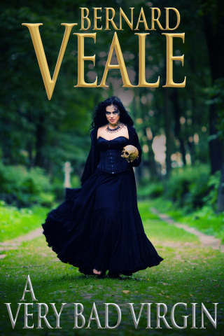Cover image: A Very Bad Virgin 3rd edition 9781849898003