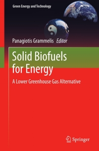 表紙画像: Solid Biofuels for Energy 9781849963923