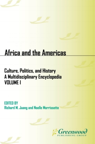 Cover image: Africa and the Americas 1st edition 9781851094417