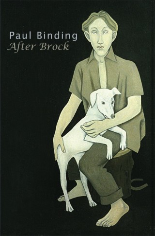 Cover image: After Brock 9781854115683